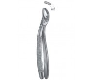 Extracting Forceps